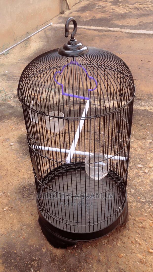 Round Parrot Cages · Photo 1