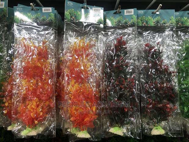 Aquarium Plants and Accessories · Photo 3