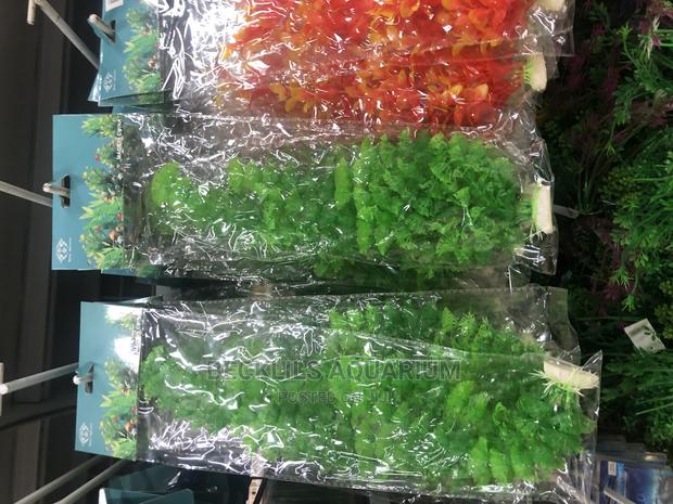 Aquarium Plants and Accessories · Photo 2