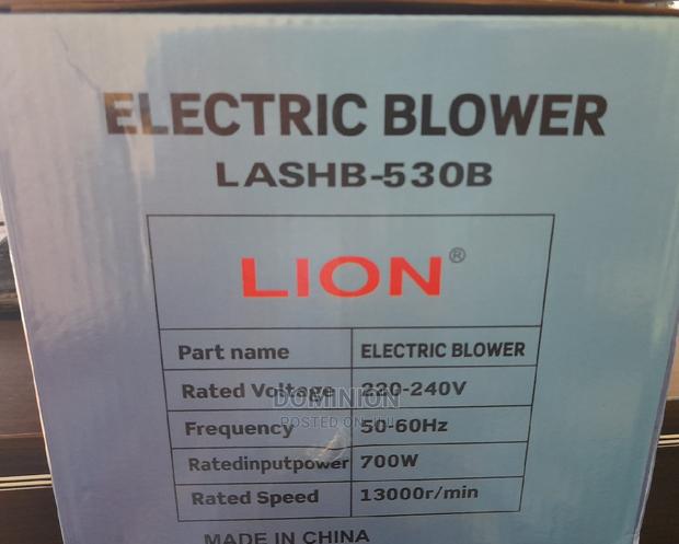 Electric Blower Professional Lashb-530b 700W Lion · Photo 2