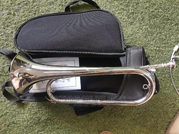 Bugle (Titanic Silver) · Photo 1