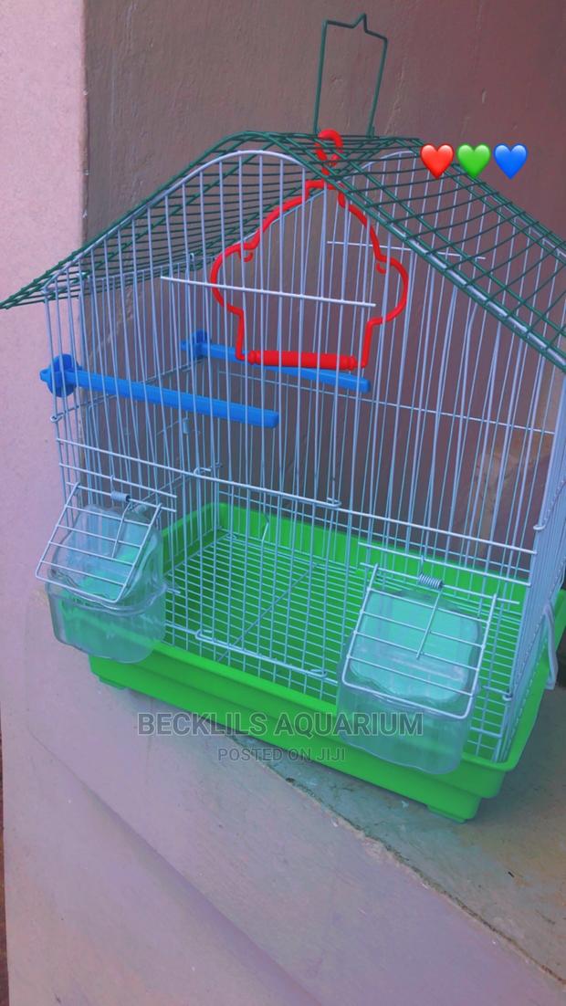 Quality Birdcage for Birds · Photo 1