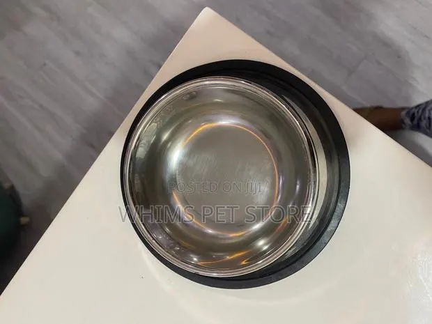 Dog Stainless Bowl · Photo 1