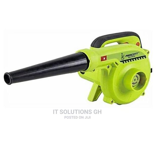 Electric Blower 800W