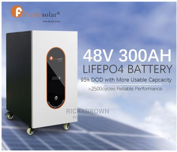 48v 300ah (15 Kwh) Felicity Lithium Ion Batteries · Photo 2