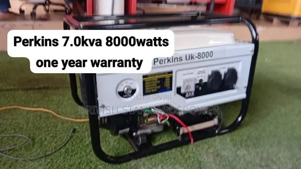 Invest in Quality With the Perkins 8000w Power Generator · Photo 1