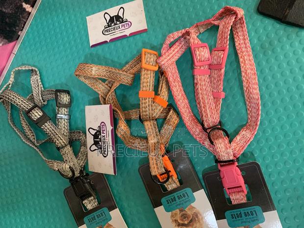 Harness for Toy Dogs Size · Photo 3
