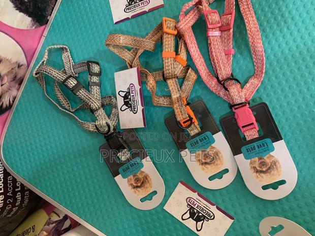 Harness for Toy Dogs Size · Photo 5