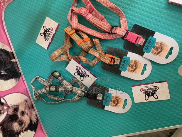 Harness for Toy Dogs Size · Photo 2