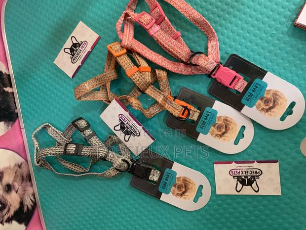 Harness for Toy Dogs Size · Photo 1