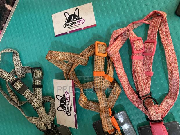 Harness for Toy Dogs Size · Photo 6