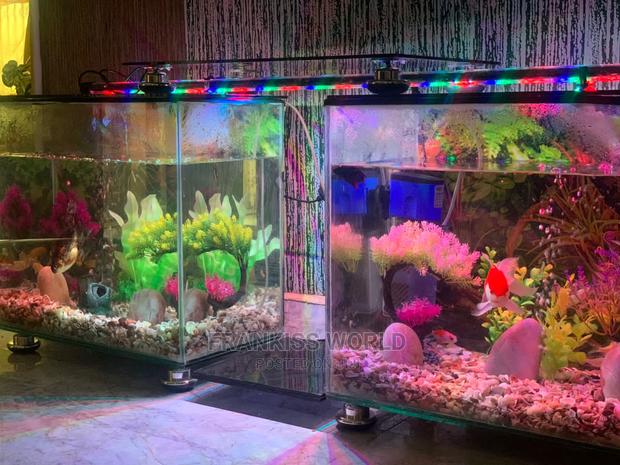 Double TV Stand Aquarium · Photo 1