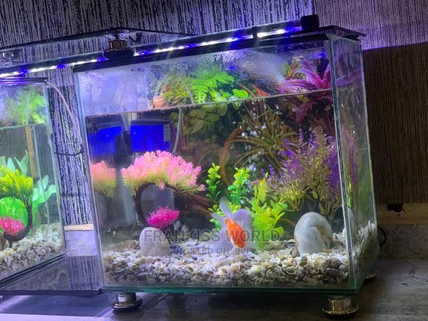 Double TV Stand Aquarium · Photo 4