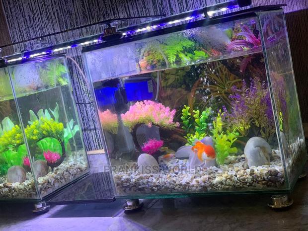 Double TV Stand Aquarium · Photo 2
