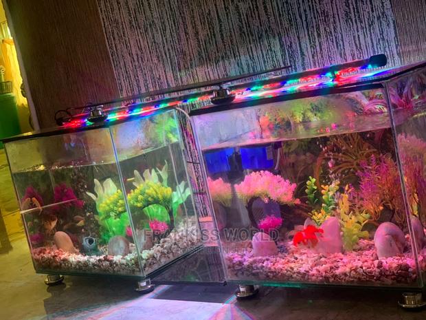 Double TV Stand Aquarium · Photo 3