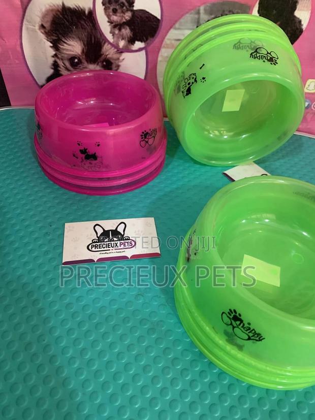 Small Size Ceramic Bowls for Cats and Dogs · Photo 1