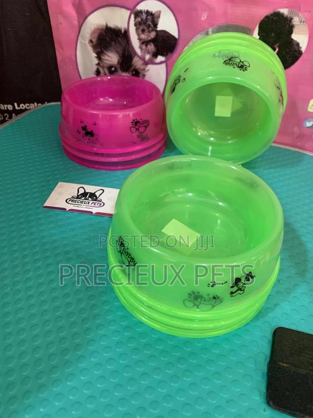 Small Size Ceramic Bowls for Cats and Dogs · Photo 2