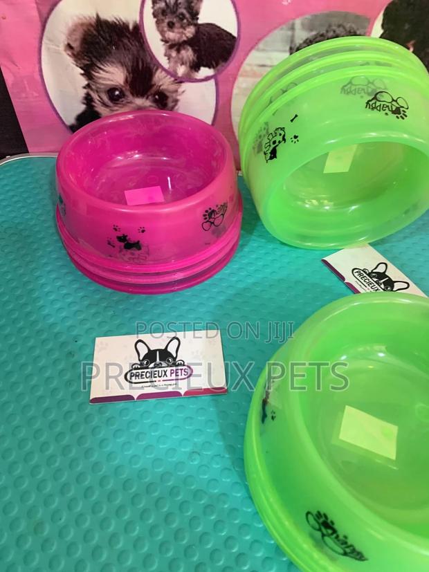 Small Size Ceramic Bowls for Cats and Dogs · Photo 3