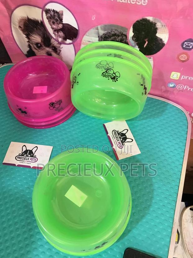 Small Size Ceramic Bowls for Cats and Dogs · Photo 4