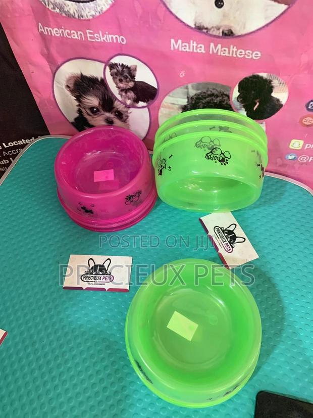 Small Size Ceramic Bowls for Cats and Dogs · Photo 5