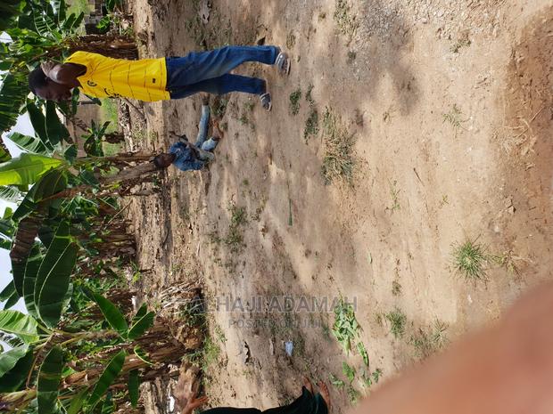 Two Plots of Land at Kumasi Ahenema Kokoben · Photo 2
