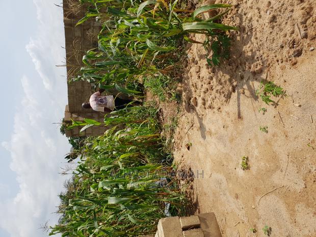 Two Plots of Land at Kumasi Ahenema Kokoben · Photo 1