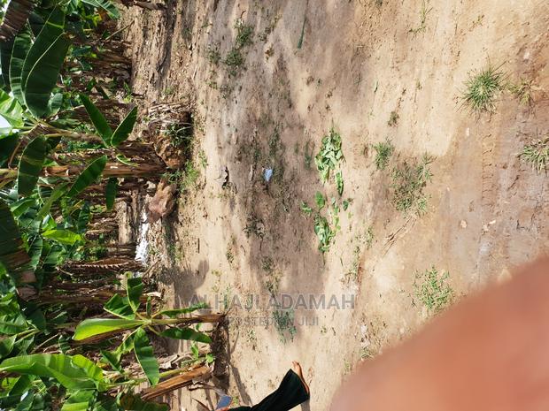 Two Plots of Land at Kumasi Ahenema Kokoben · Photo 6