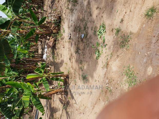 Two Plots of Land at Kumasi Ahenema Kokoben · Photo 7