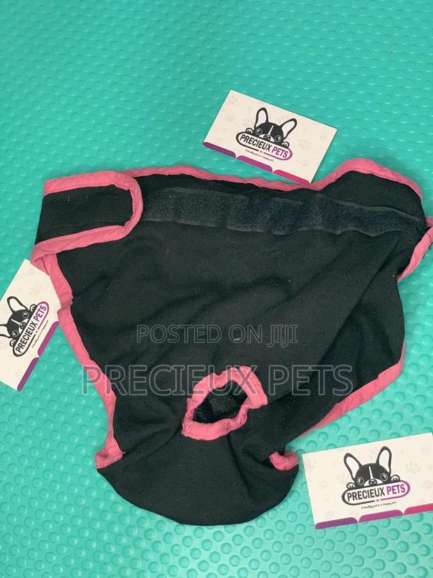 Toy Dog Clothings Series 050 · Photo 1