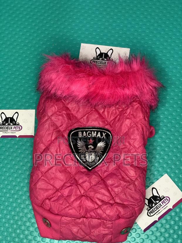 Toy Dog Clothings Series 052 · Photo 3