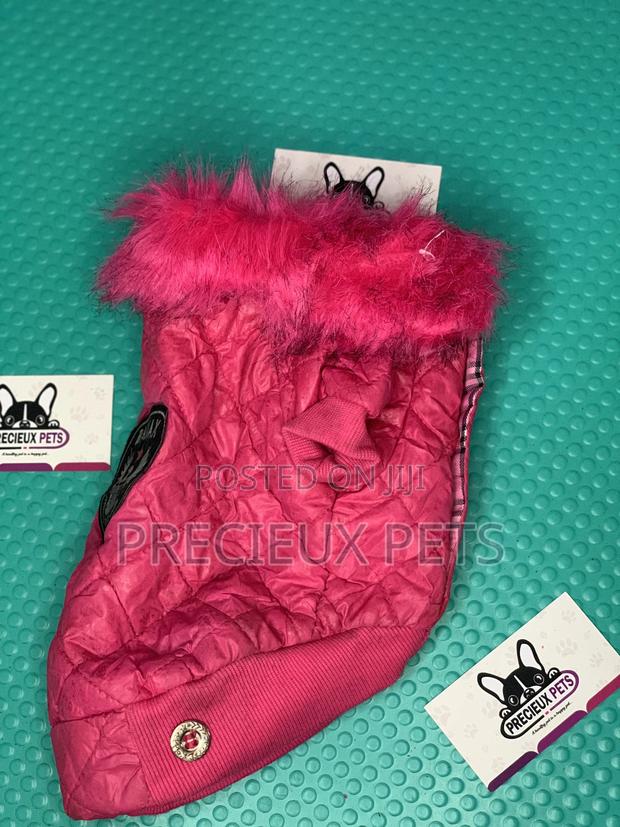 Toy Dog Clothings Series 052 · Photo 1
