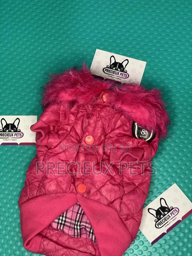 Toy Dog Clothings Series 052 · Photo 2