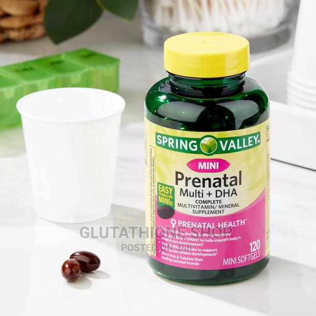Spring Valley Mini Prenatal Multi + DHA Multivitamins · Photo 1