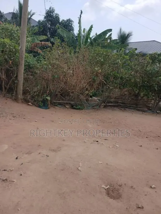 Plot of Land at Ejisu Ampaame · Photo 1