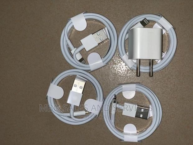 Original 5W iPhone Charger