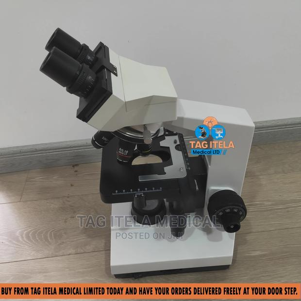 Microscope Olympus (Cha-chb) · Photo 1