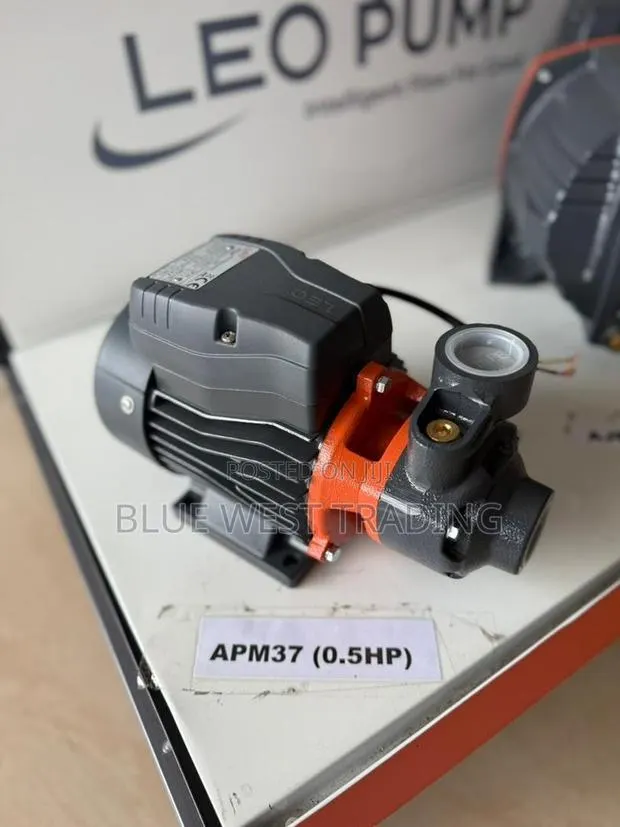 Leo 0.5hp Water Pump Cast _ Leo 0.5 Horsepower Water Pump Cast · Photo 1
