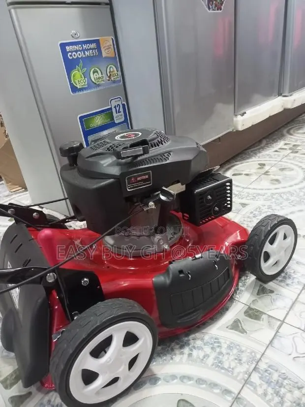 Gas Lawn Mower 4.5hp · Photo 1