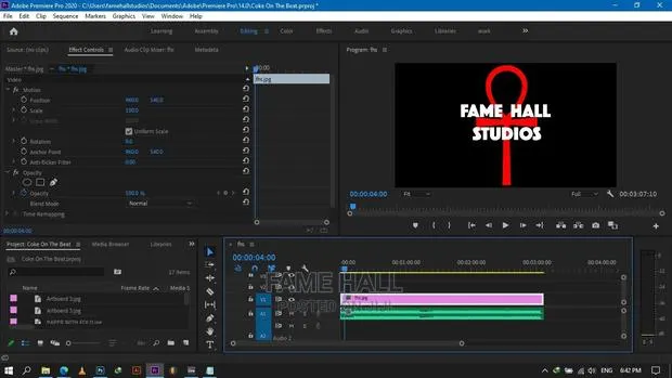 Professional Video Editor · Photo 1