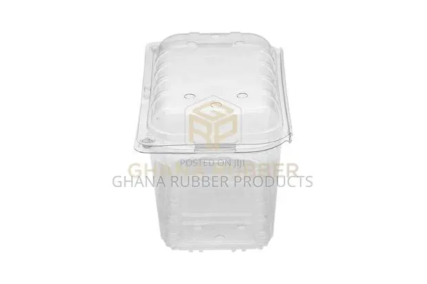 Fruit Punnets Containers 1000cc (500pcs) · Photo 1