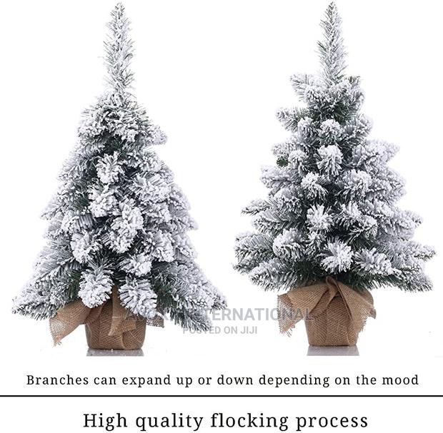 2 Pack 3’ Lighted Flocked Virginia Pine Trees · Photo 1