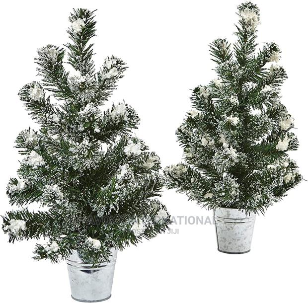 2 Pack 3’ Lighted Flocked Virginia Pine Trees · Photo 2