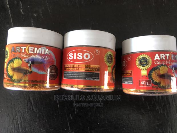 Artemia Fish Feed · Photo 1