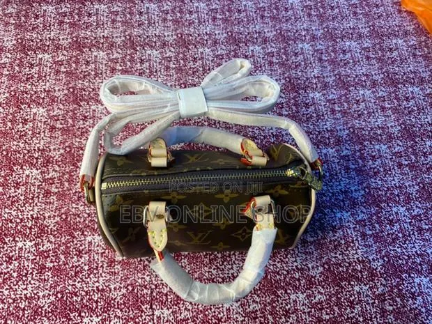Louis Vuitton Ladies Bag · Photo 1