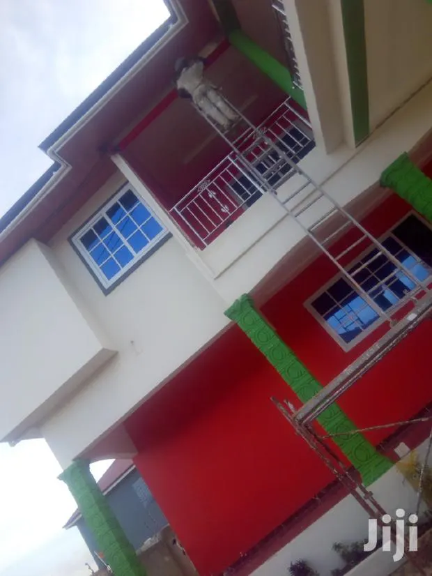 Professional Painter · Photo 1