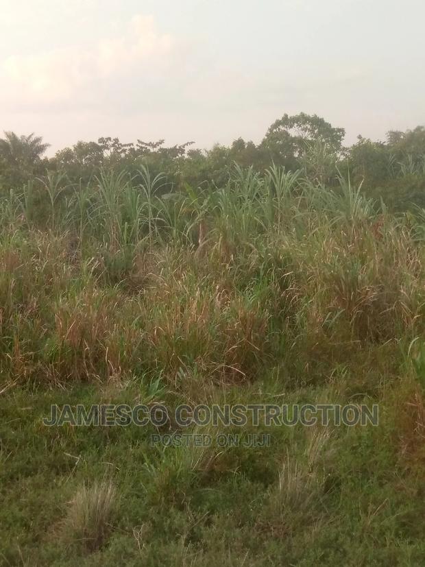 Farms Land · Photo 1