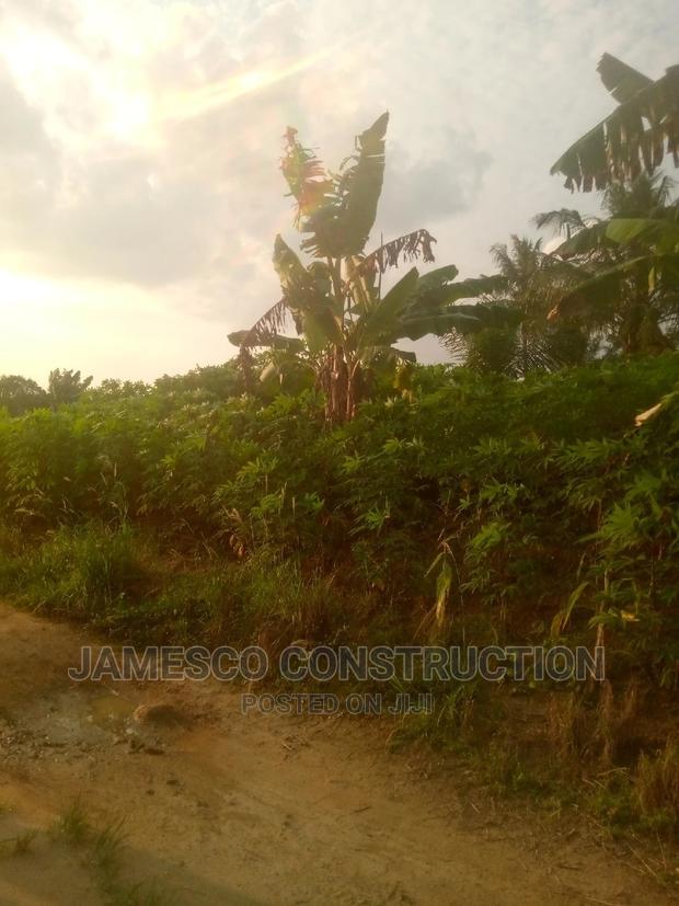 Farms Land · Photo 2