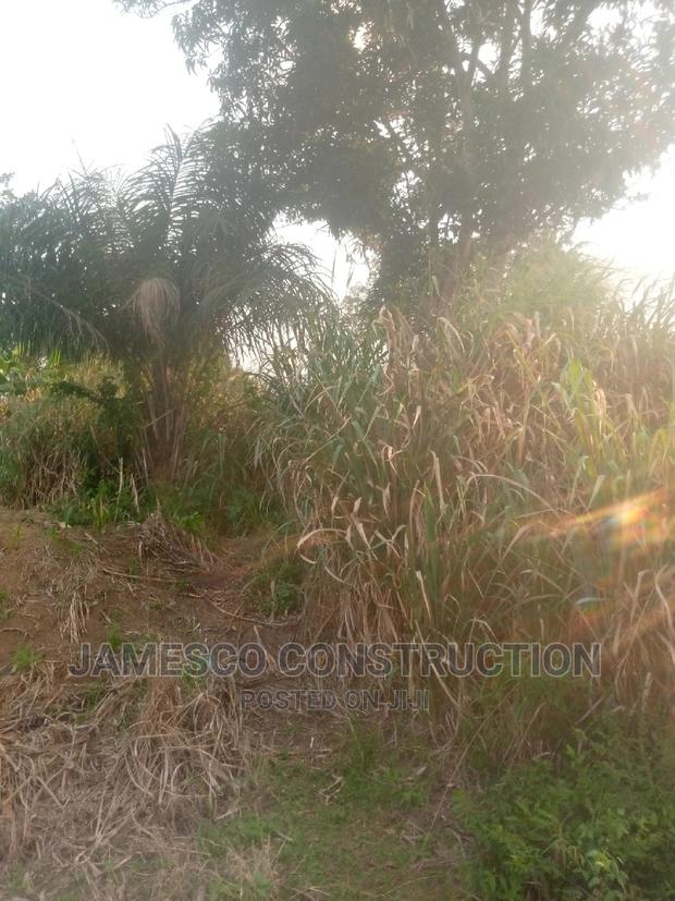 Farms Land · Photo 4