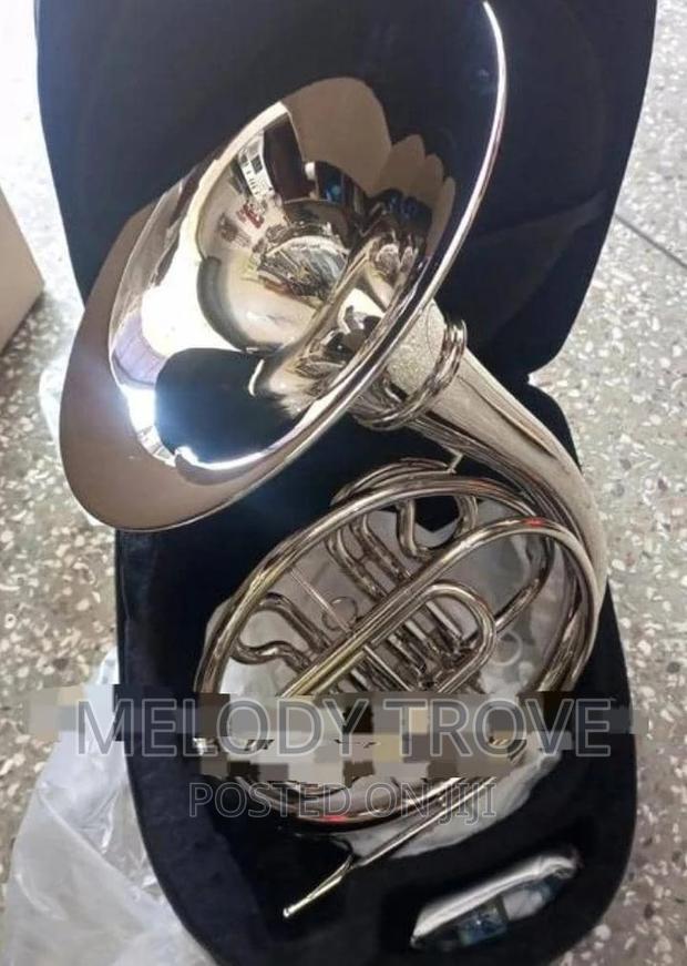 French Horn Silver · Photo 2
