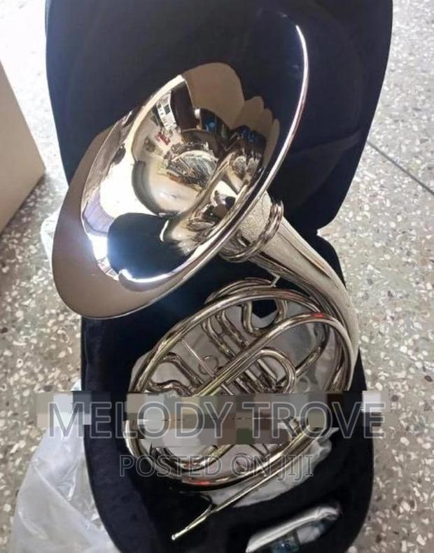 French Horn Silver · Photo 1